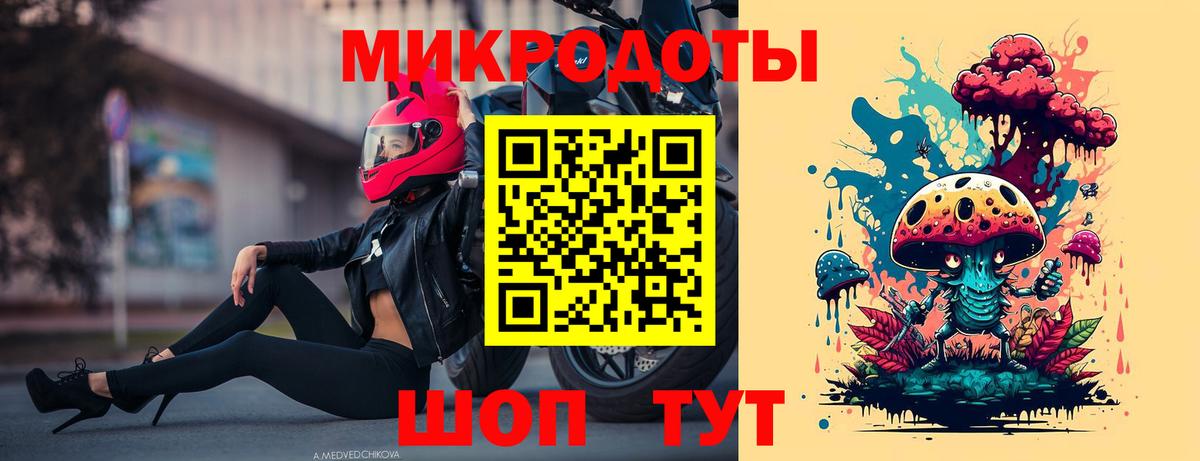Курчатов  закладки  Вход с VPN  Галлюциногенные грибы Psilocybine cubensis 