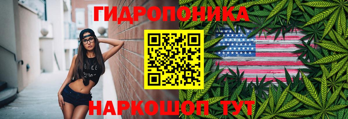 Бошки марихуана VHQ  Конопля White Widow  Бошки Шишки White Widow  Курчатов  Вход с VPN  Канабис гибрид 